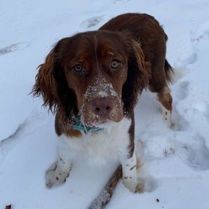 Meet your Posher, Mya